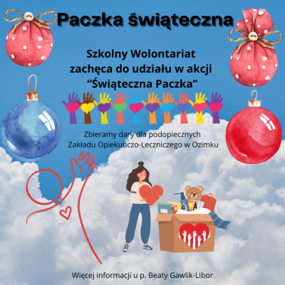 Paczka świąteczna n